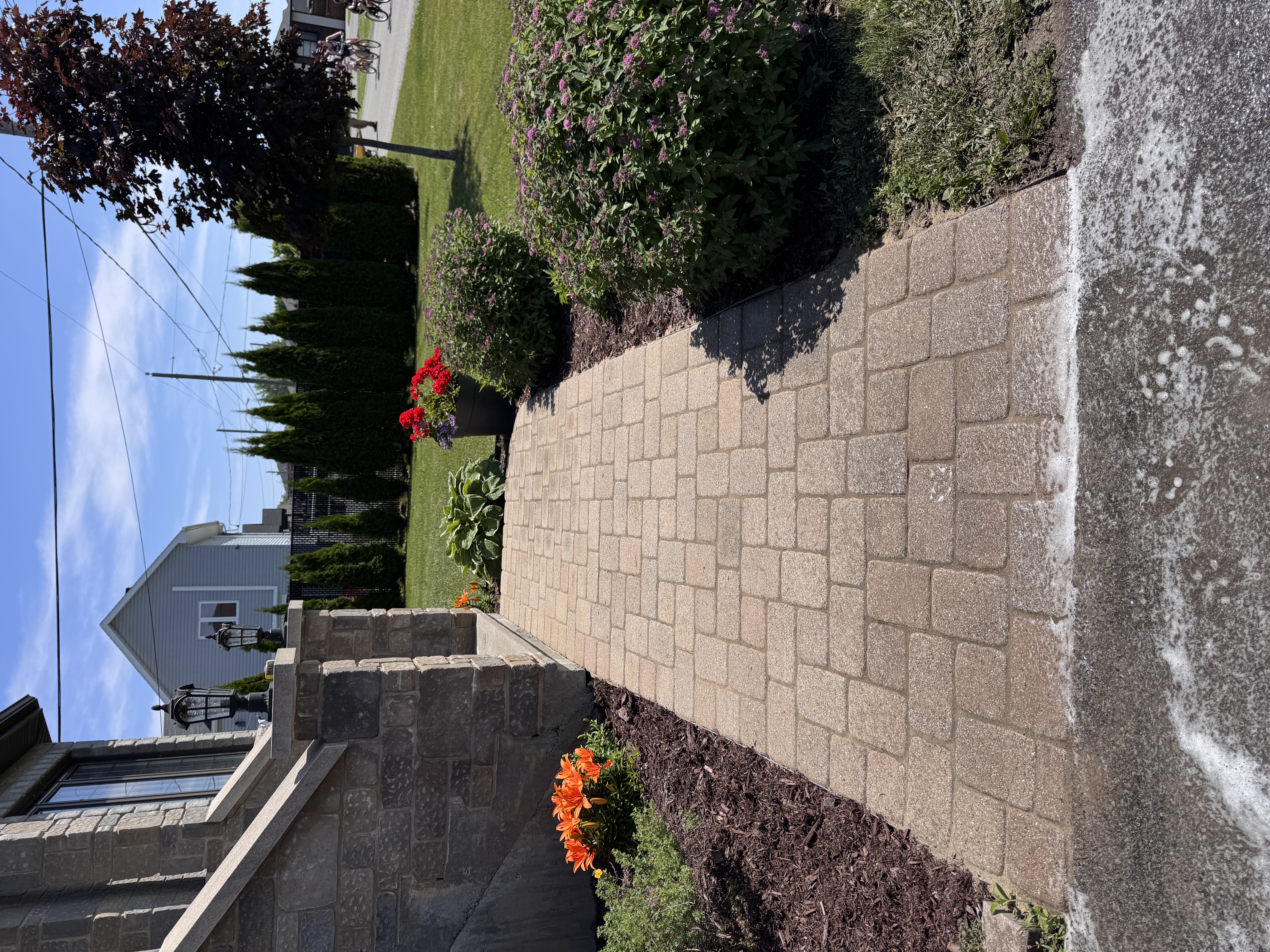 Entretien pavé uni — après